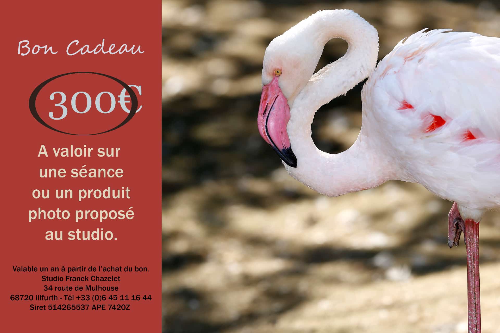 Bon cadeau 300€