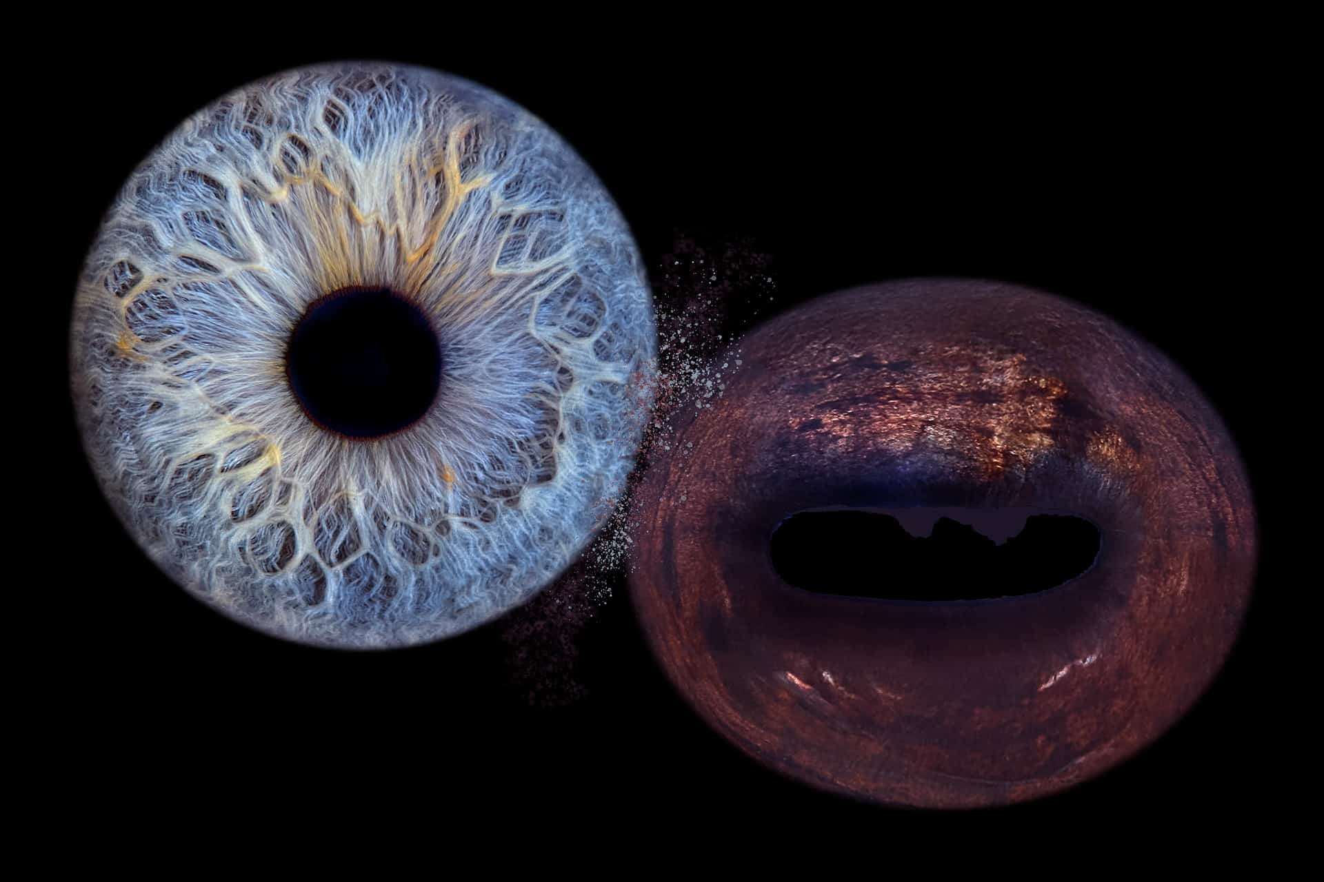 Deux iris qui s'entrechoquent par Franck Chazelet