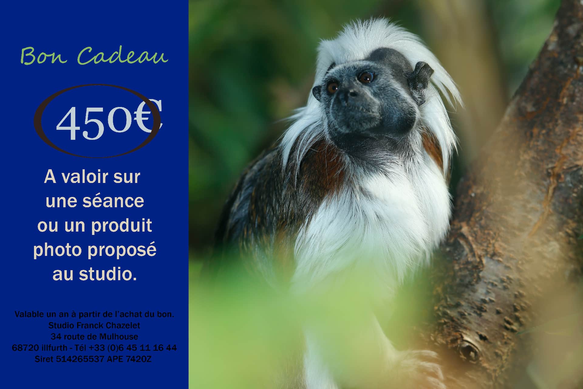 Bon cadeau 450€