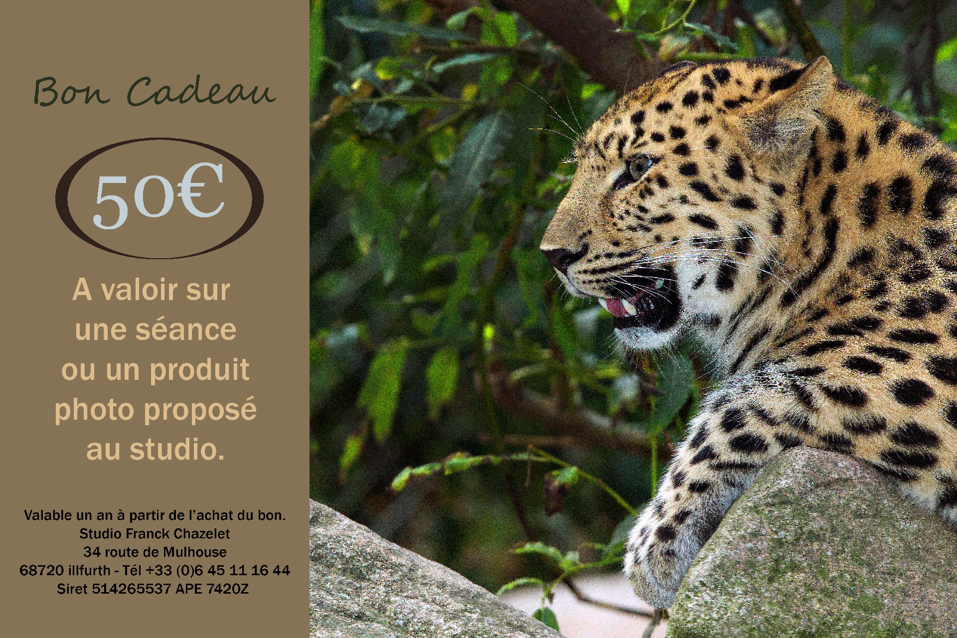 Bon cadeau 50€