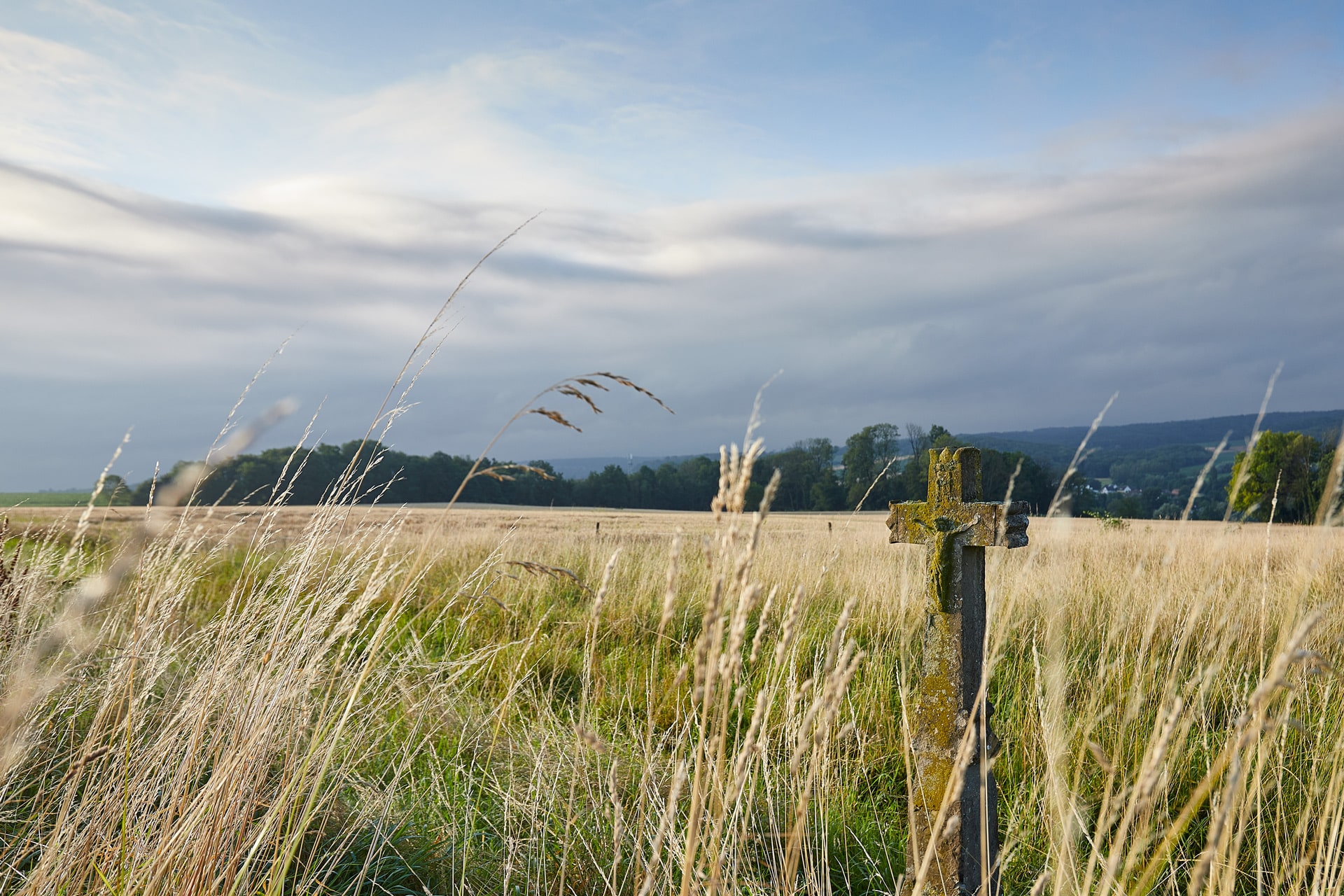Photo d'une croix dans une prairie par Franck Chazelet